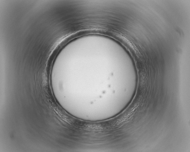 X0000116020927200912041747