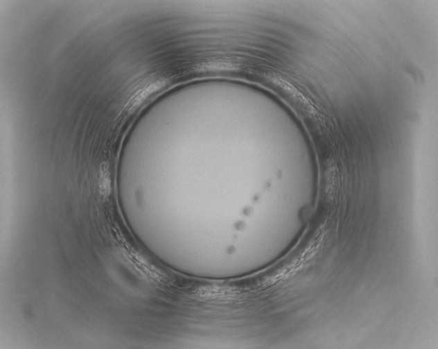 X0000116020929200912041747