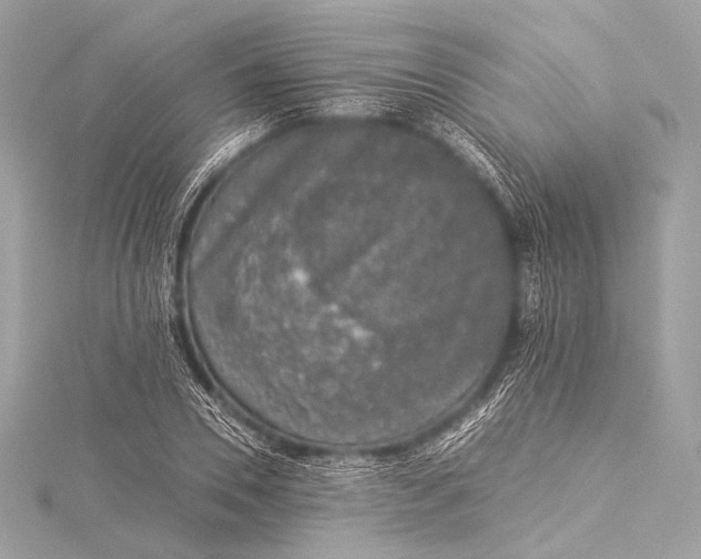 X0000116020930200912041747