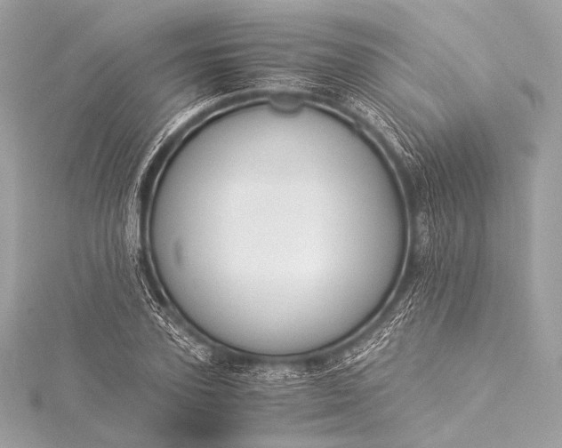 X0000116020931200912041747