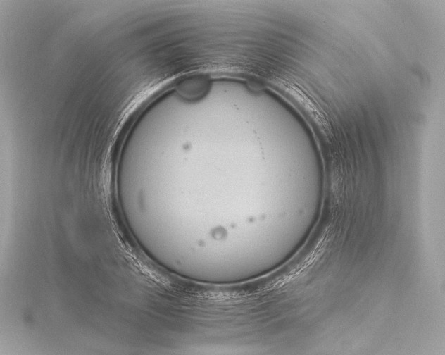 X0000116020933200912041747