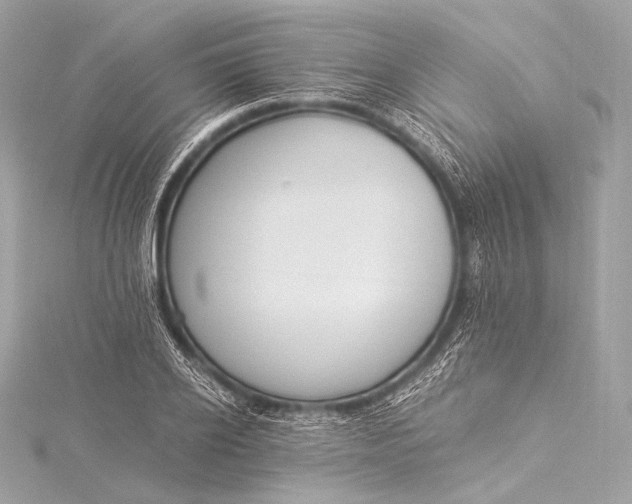 X0000116020934200912041747