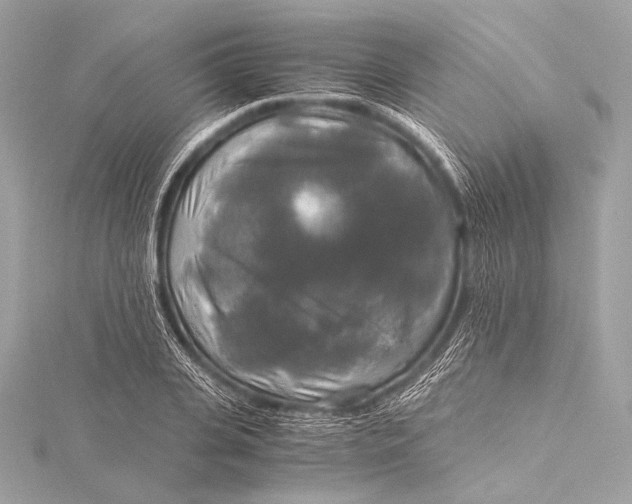 X0000116020935200912041747