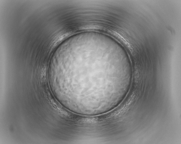 X0000116020937200912041747