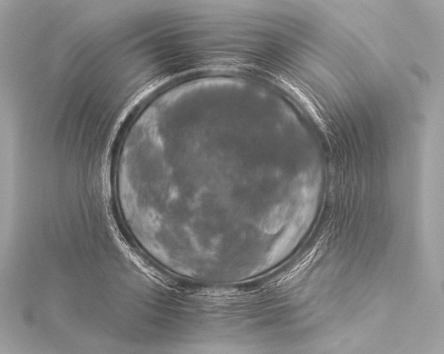 X0000116020939200912041747