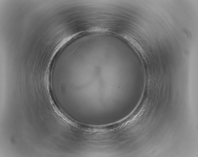 X0000116020941200912041747