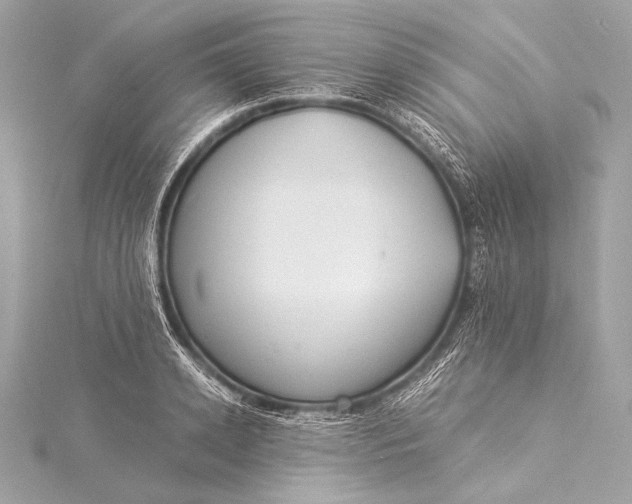 X0000116020942200912041747