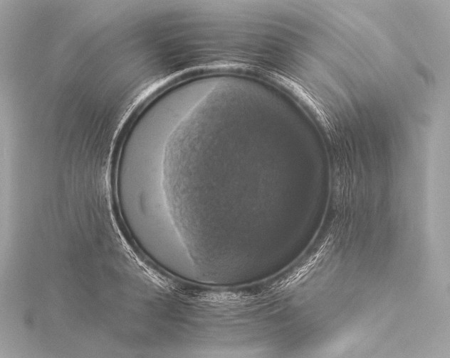 X0000116020943200912041747