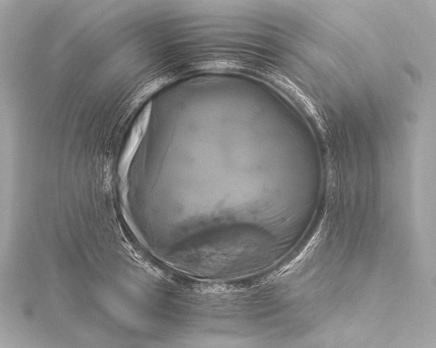 X0000116020945200912041747