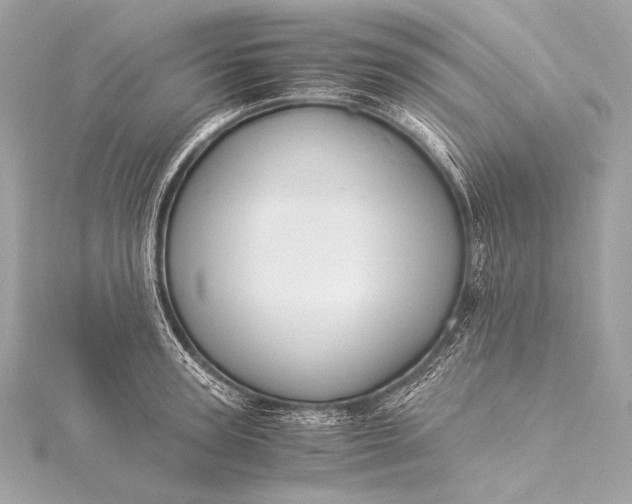 X0000116020947200912041747