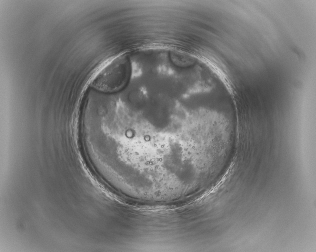 X0000116020949200912041747