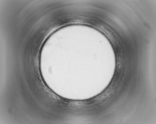 X0000116020950200912041747