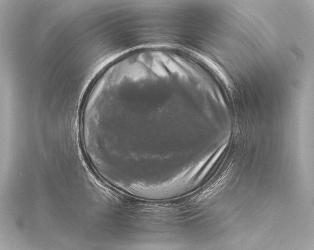 X0000116020951200912041747