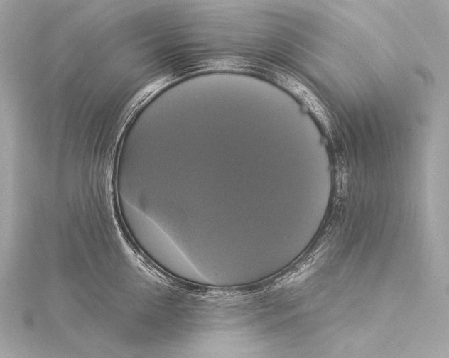 X0000116020954200912041747