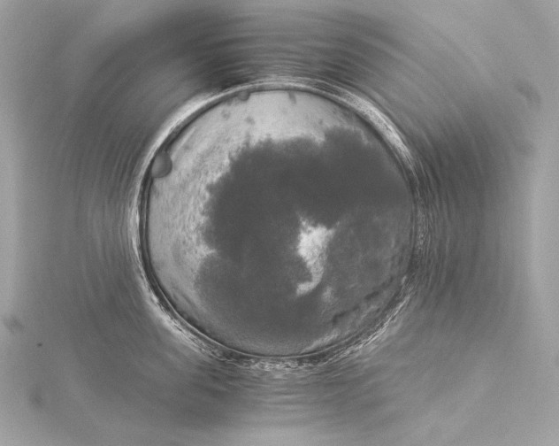 X0000116020955200912041747