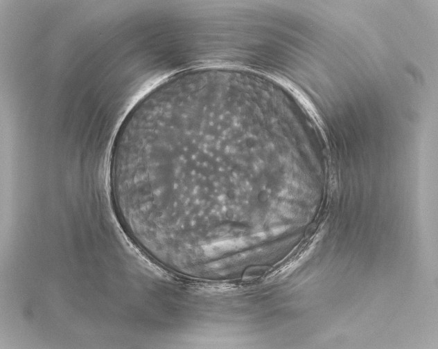 X0000116020957200912041747