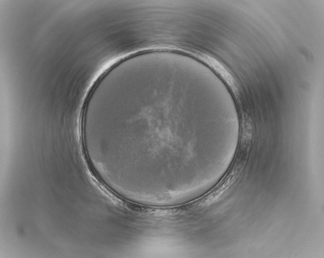 X0000116020958200912041747