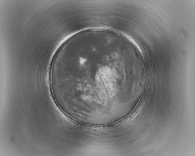 X0000116020959200912041747