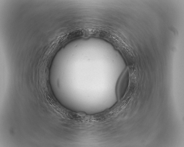 X0000116020961200912041747