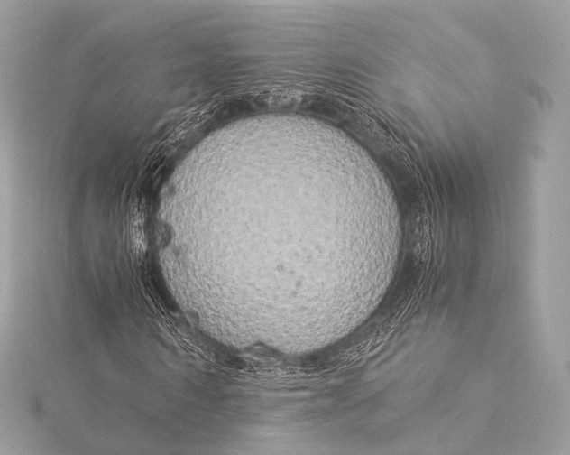 X0000116020962200912041747