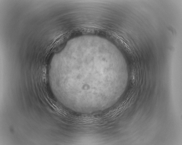 X0000116020964200912041747