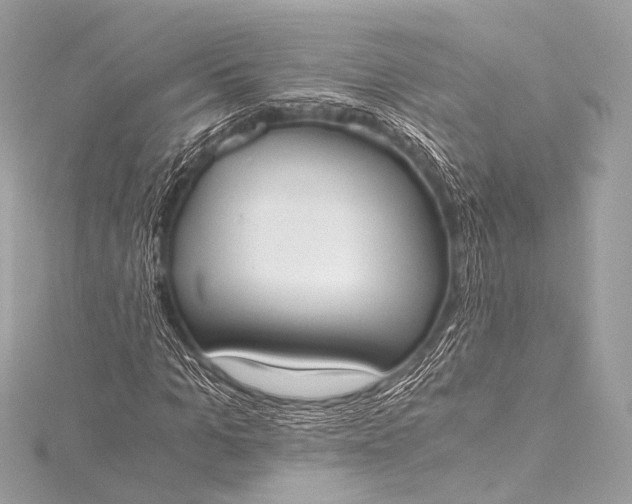 X0000116020965200912041747