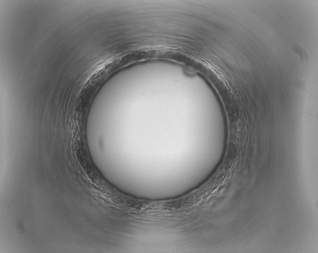 X0000116020967200912041747