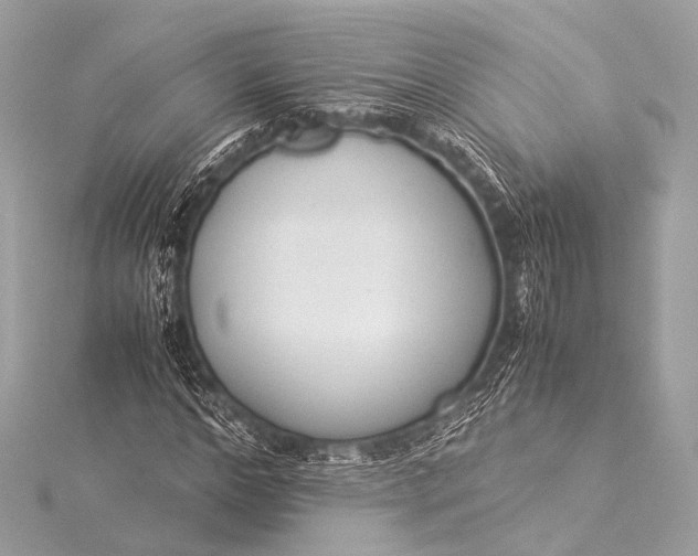 X0000116020968200912041747