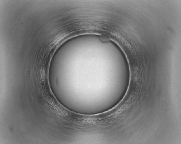 X0000116020969200912041747