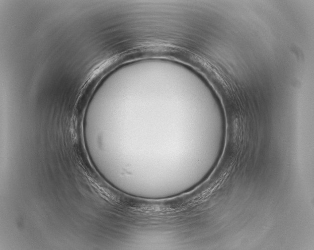 X0000116020970200912041747