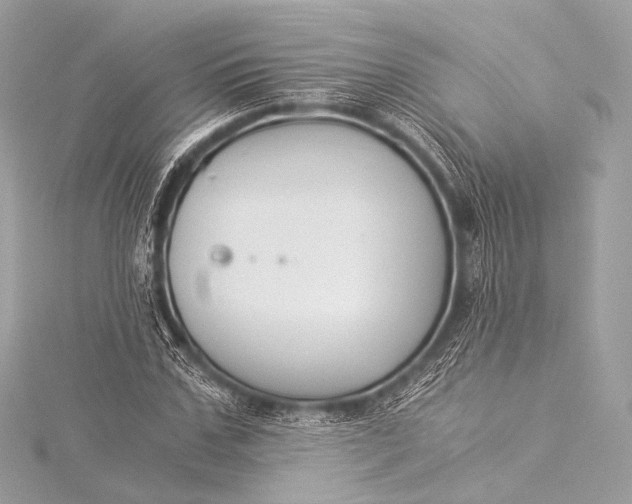 X0000116020971200912041747