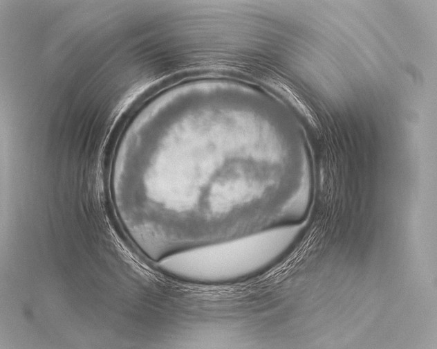 X0000116020972200912041746