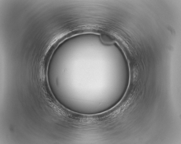 X0000116020973200912041746