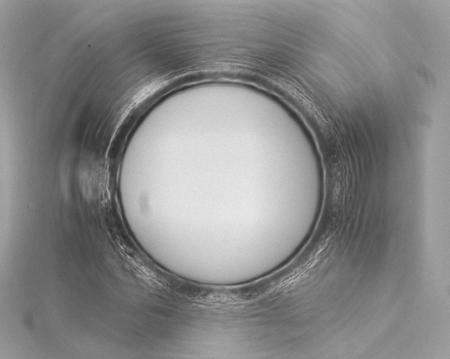 X0000116020974200912041746