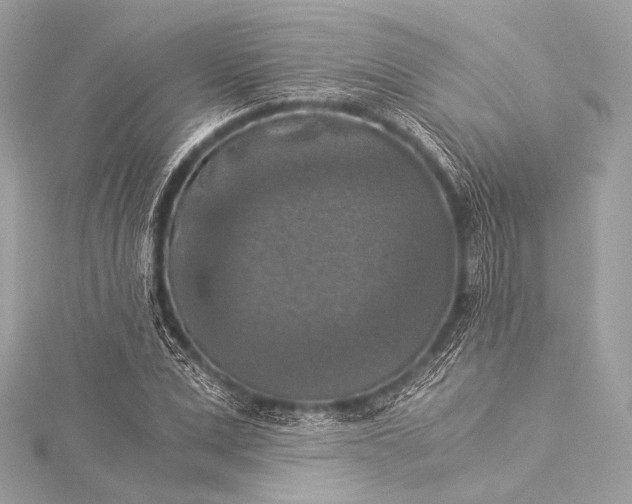 X0000116020975200912041746