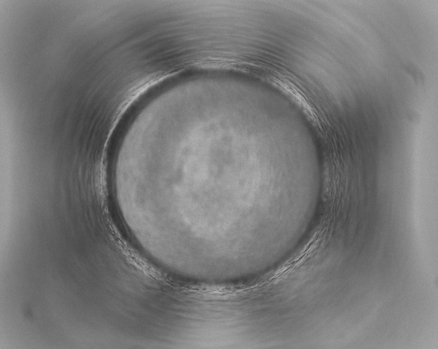 X0000116020976200912041746