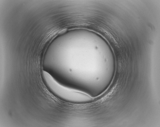 X0000116020977200912041746