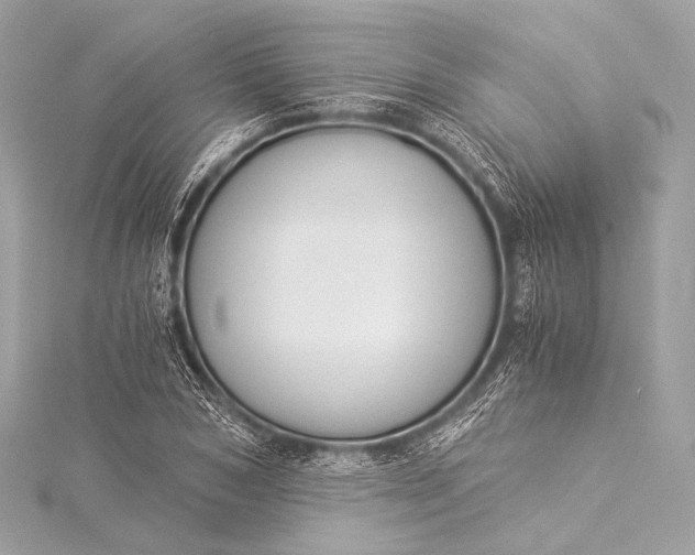 X0000116020978200912041746