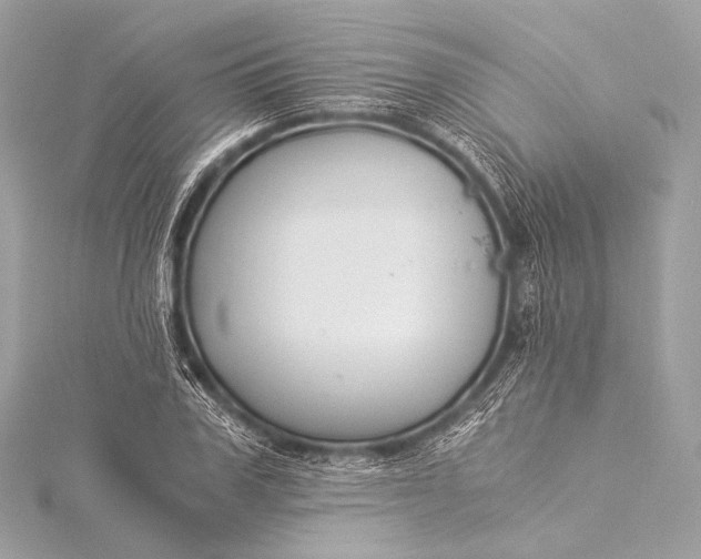 X0000116020979200912041746