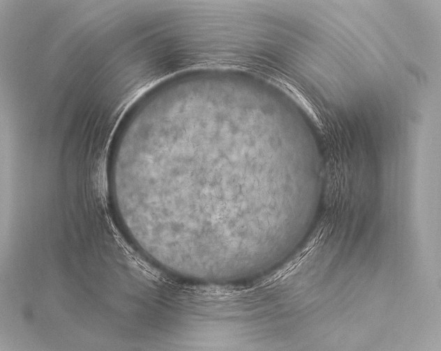 X0000116020980200912041746