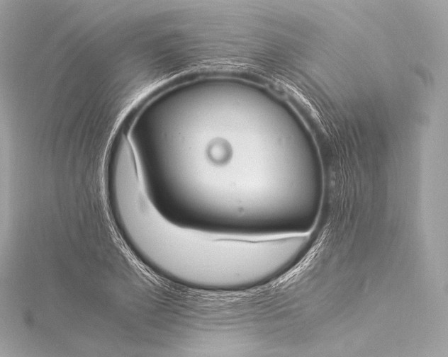 X0000116020981200912041746