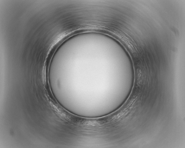 X0000116020982200912041746