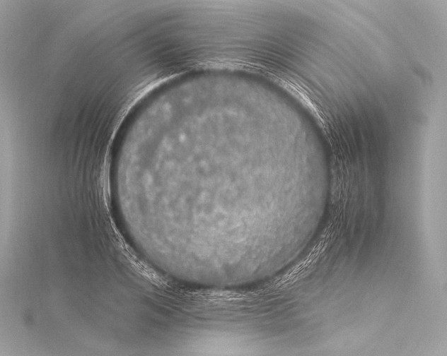 X0000116020984200912041746