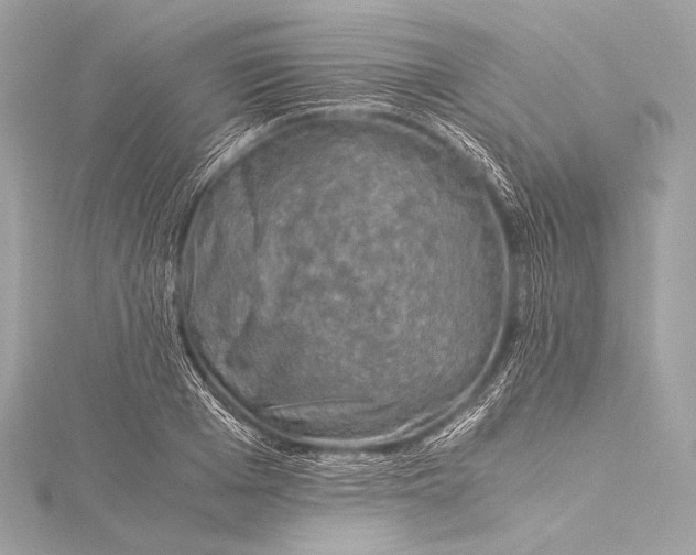 X0000116020985200912041746