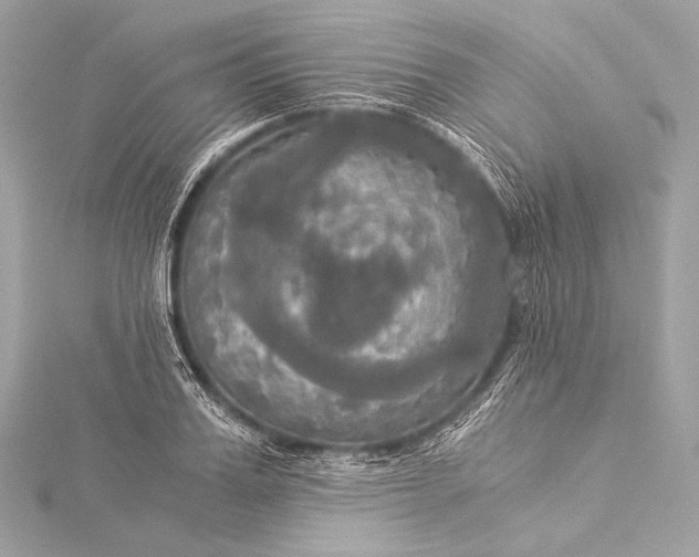 X0000116020987200912041746