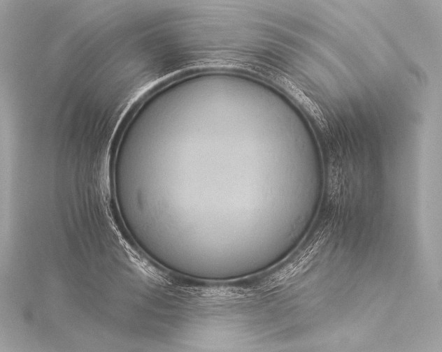 X0000116020988200912041746