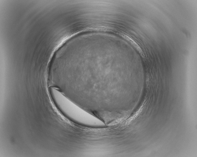 X0000116020989200912041746