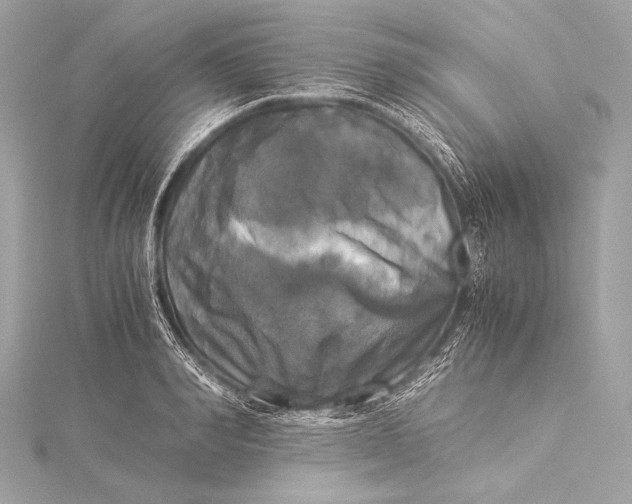 X0000116020990200912041746