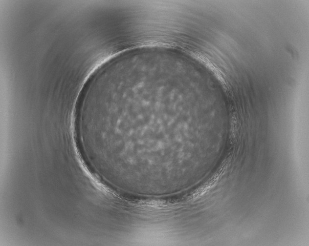 X0000116020991200912041746