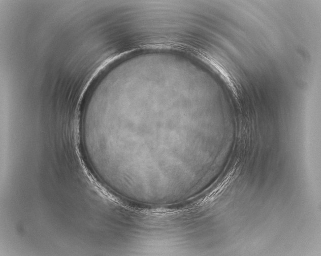 X0000116020992200912041746